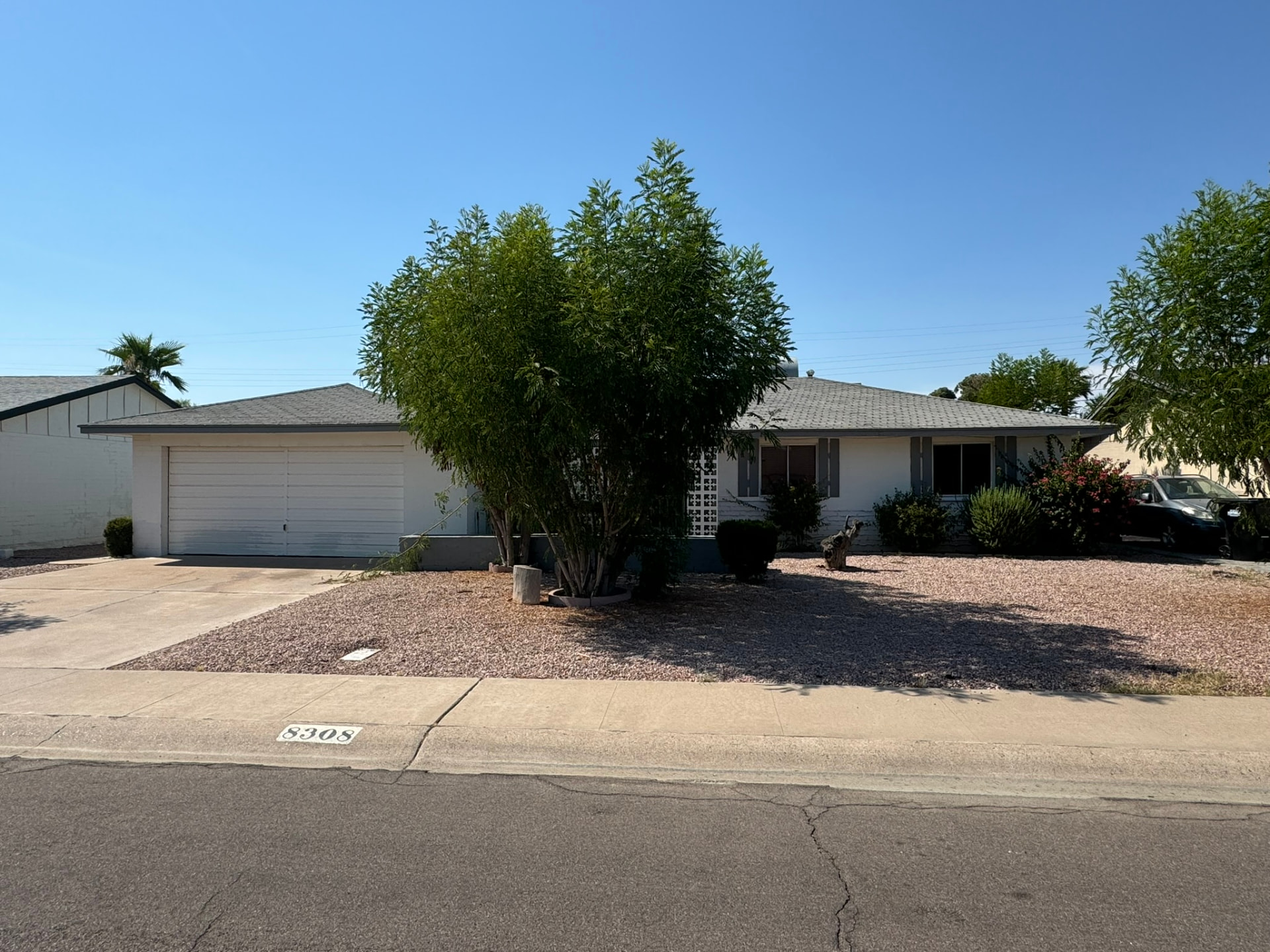 Mid-Century Modern Original photo 1